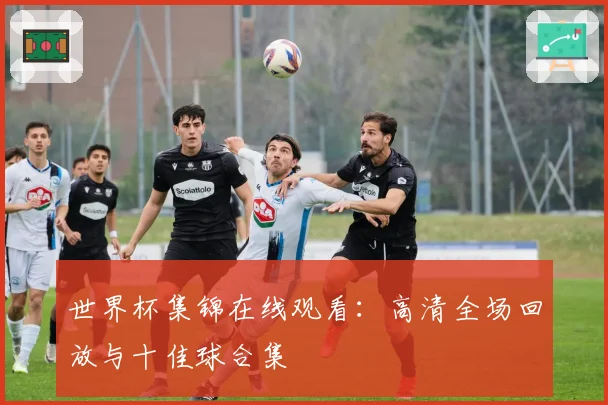 世界杯集锦在线观看：高清全场回放与十佳球合集