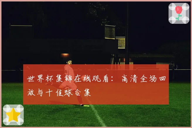 世界杯集锦在线观看：高清全场回放与十佳球合集